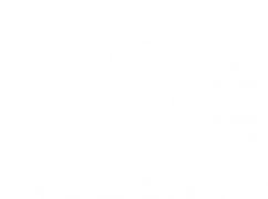 Seguro Autom&oacute;vel