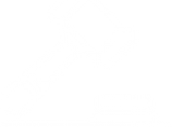 Responsabilidade Civil